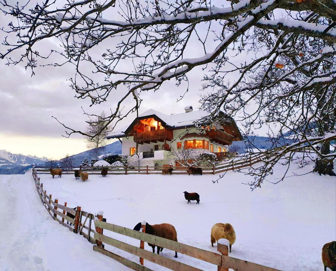 Oberplunerhof - Fewo Kronplatz Chienes Extérieur photo